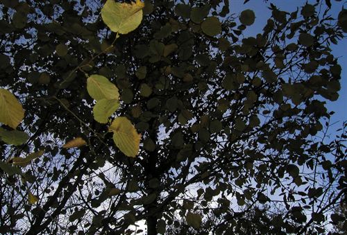 El Gobierno extremeño convoca la contratación de un servicio de elaboración de una estrategia de educación ambiental