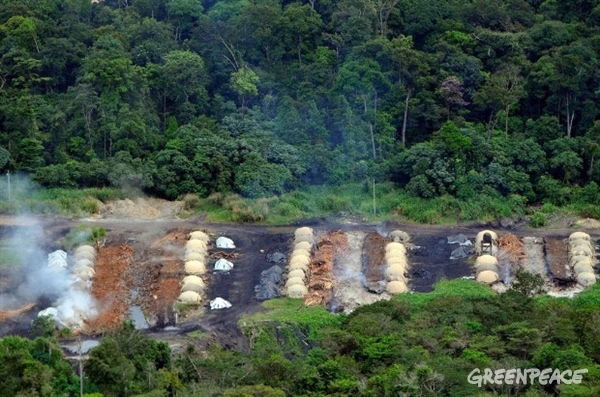 Amazonia: quien se acuesta con el agronegocio se levanta con la deforestación