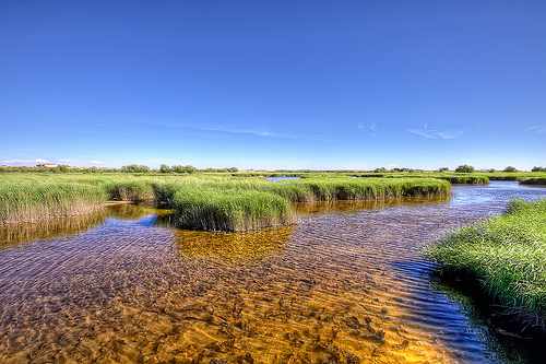 Qué ocurre en las Tablas de Daimiel