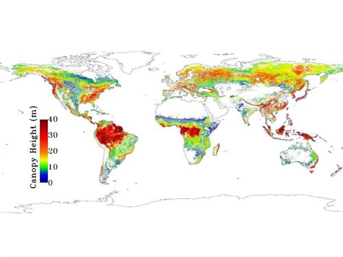 Un mapa orbital revela la altura de los árboles sobre la Tierra