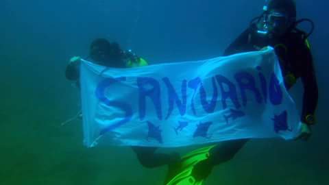 Canarias. Sí a un Santuario de Tiburones y Rayas no a un Santuario de negociantes