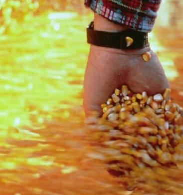 Agricultura inteligente a nivel energético