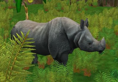 Aceite de palma en  bollería industrial y su vinculación con la extinción de especies como tigres y rinocerontes