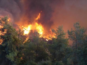 El incendio en un paraje de Berja (Almería) afecta a 0