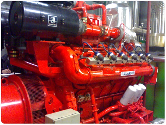 Experto profesional de la cogeneración eléctrica