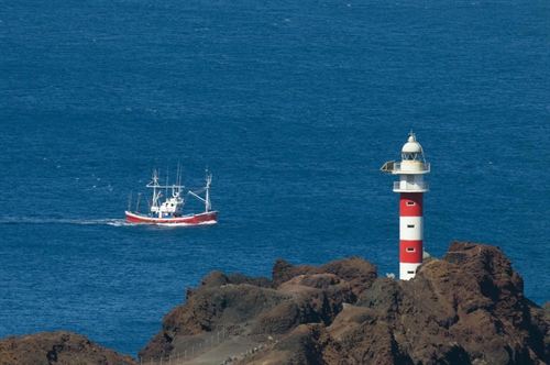 Cabildo de Tenerife reactiva su ‘apuesta’ por las reservas marinas de Teno y Anaga