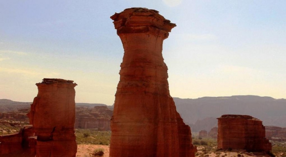 Argentina: Descubren en Talampaya fósiles de especies animales hasta ahora desconocidas