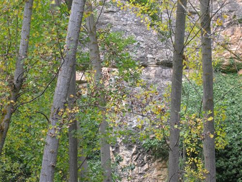 Más de 1.000 personas participan este sábado en Punta Umbría en una macroreforestación