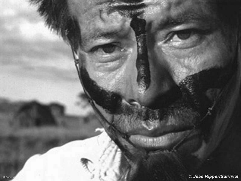 Un proveedor de Shell que explota tierras indígenas amenaza de muerte a un rival político