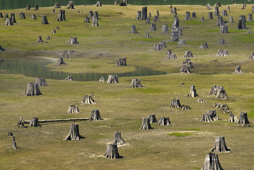 La presión humana sobre los ecosistemas