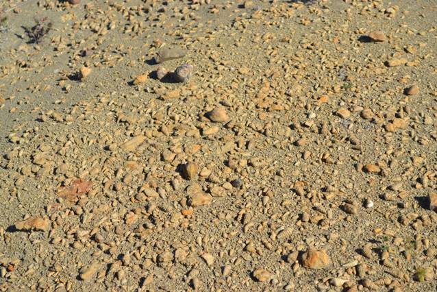 Antiguos suelos fósiles enterrados podrían contribuir al cambio climático