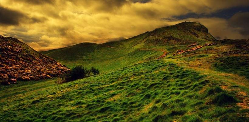 Una APP para detectar especies invasoras e incendios