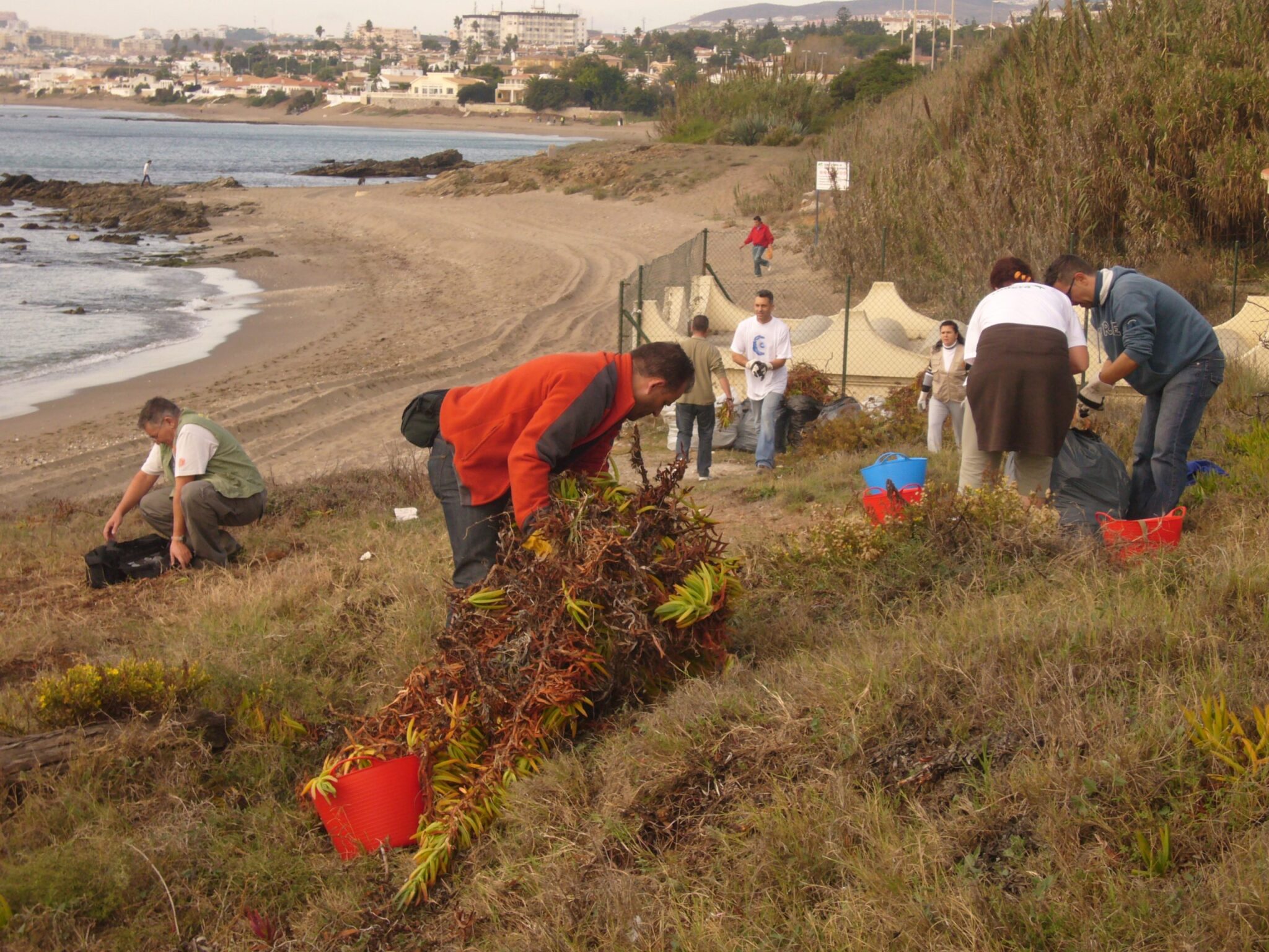 Aula del Mar avanza en su proyecto de protección del litoral de Mijas con una jornada de limpieza y acondicionamiento de la zona