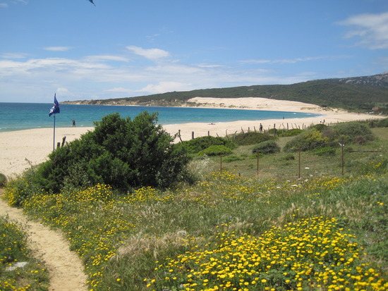 Magrama desarrolla un programa de voluntariado en playas conservación del litoral español