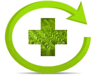 II edición de Dale a los medicamentos un final de película