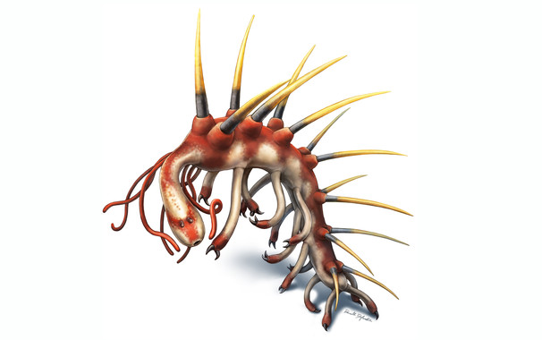 Cómo era el antepasado de los invertebrados