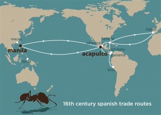 Los barcos españoles del siglo XVI propagaron las hormigas tropicales por todo el planeta