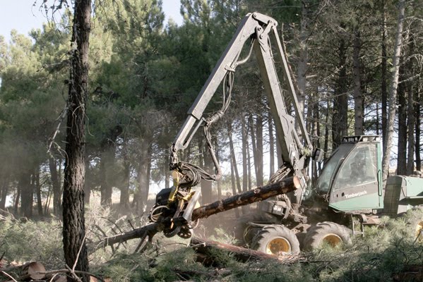 Juicio contra cargos públicos por el caso de la ‘Ciudad del Golf’ de Las Navas del Marqués (Ávila)