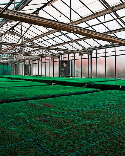 Primer invernadero agroenergético de Andalucía