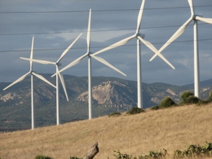 Ecologistas catalanes contra el Plan eólico del Govern