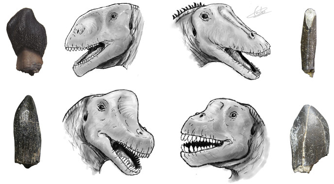 La diversidad de dinosaurios de Portugal es mayor de lo que se pensaba