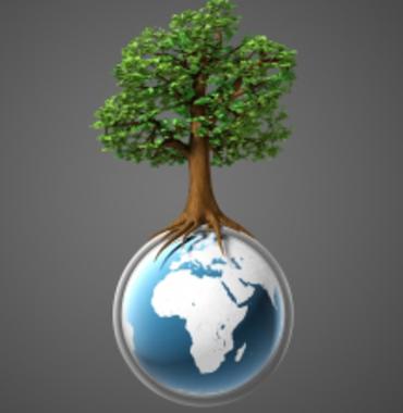 Los adolescentes españoles siguen acumulando compuestos organoclorados