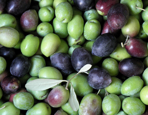 Envases de bioplástico con piel de aceituna