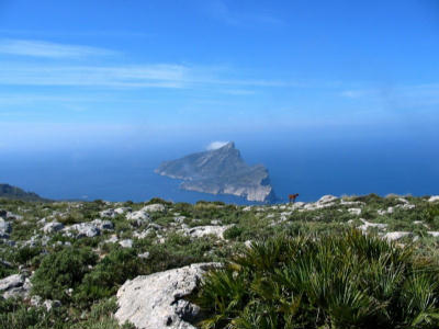 El Govern desratiza Sa Dragonera ante la fuerte proliferación de ejemplares