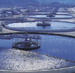 El Consell asegura que pondrá a disposición de Fiscalía toda la información que solicite sobre las depuradoras