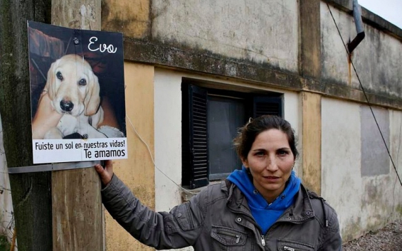 Argentina: Envenenamiento masivo de perros en una localidad de La Plata