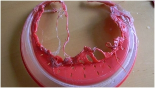 La solución al problema del reciclaje del PET podría estar en estas bacterias