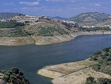 Junta notificará a la Fiscalía del TSJA la aparición de siluros en el embalse de Iznájar