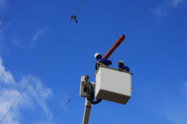 Iberdrola culmina la corrección de una línea eléctrica peligrosa para las aves en Ávila