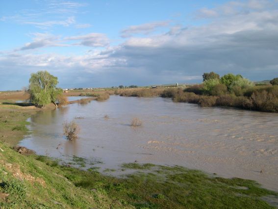Ecologistas en Acción exige que el dragado de profundización del Guadalquivir no sea pagado por Europa