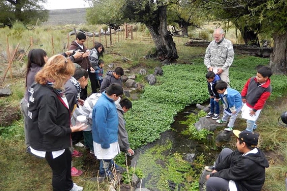Argentina. Reintroducen ranas en su hábitat natural en La Plata