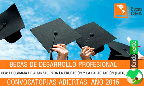 Conoce aquí las Becas 2015 de OEA – Fondo Verde
