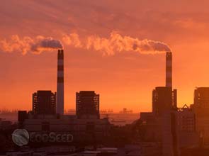 China hopes for "positive results" at climate talks