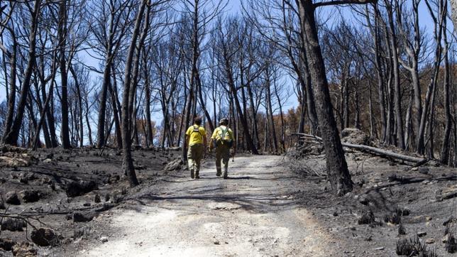 Baleares destinará ocho millones para luchar contra los incendios forestales hasta 2018
