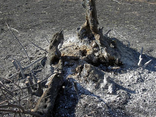 Comienza el juicio por el incendio de Guadalajara