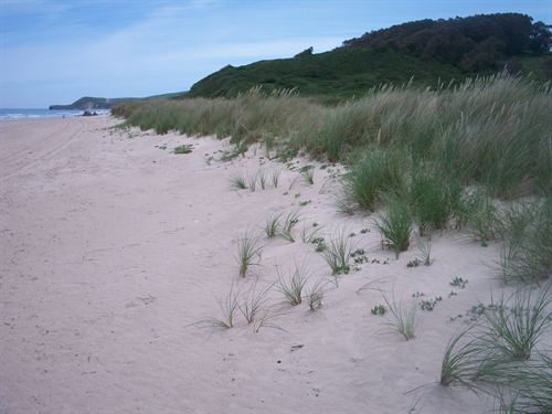 La playa de Merón en San Vicente de la Barquera consigue su octava Q de Calidad