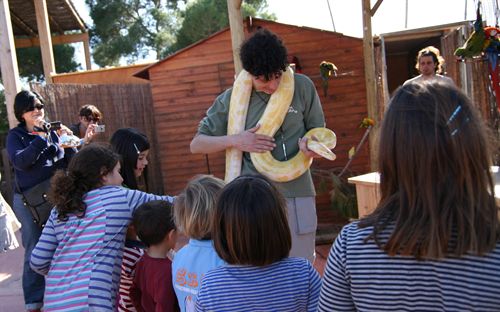 Terra Natura Murcia adopta a la serpiente albina aparecida recientemente en Cartagena