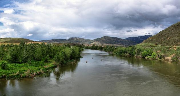 Las poblaciones de peces registran un fuerte descenso en el Ebro
