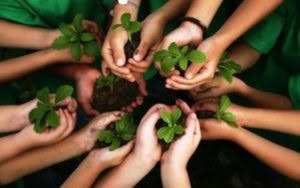 Las mujeres de todo el mundo se organizan como parte del movimiento ecologista