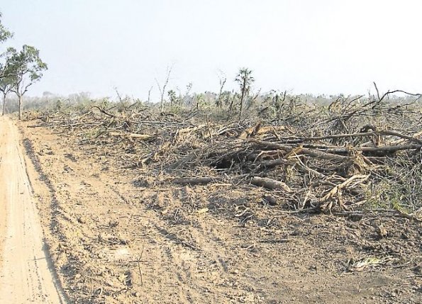 Avanza la deforestación del Chaco paraguayo