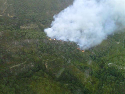 Detenido el presunto autor del incendio que arrasó 167 hectáreas del paraje Arroyo de la Miel (Cádiz)