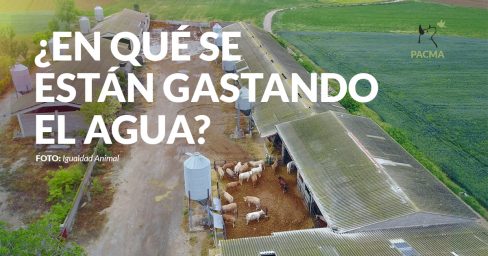 Por qué no nos cuentan en qué se está gastando el agua