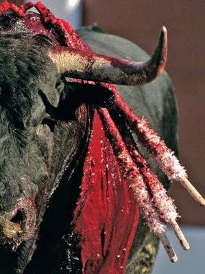 RTVE defiende los toros