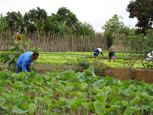 Compartirá México con otros países estrategias en agricultura frente a cambio climático