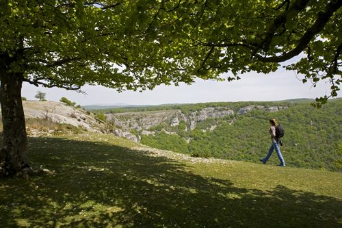 Fuerteventura presenta una guía de oportunidades en el ecoturismo