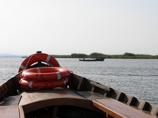 Negocios y Biodiversidad: estrategias para implicar a las empresas